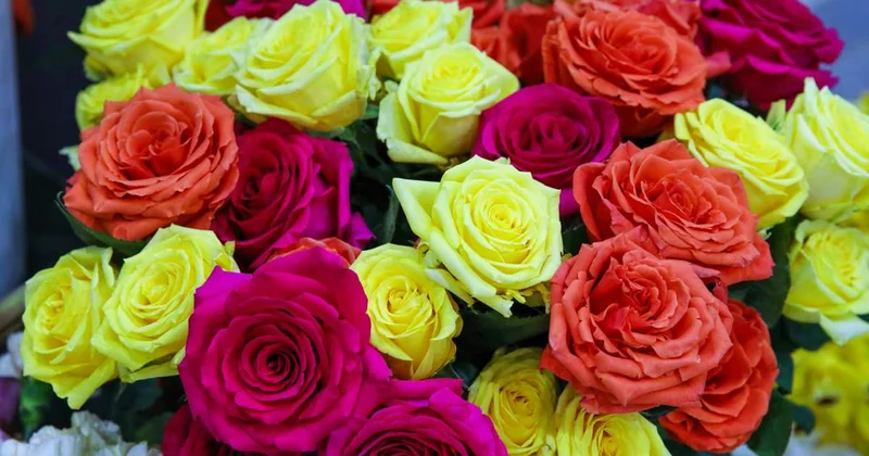 Қазақстанға гүлдер қай мемлекеттерден жеткізіледі