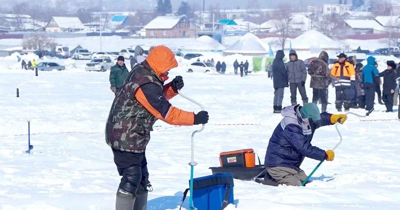 Ловись, рыбка, большая и маленькая!