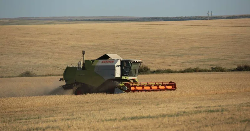 Страхование аграрного сектора в Центральной Азии: как минимизировать риски