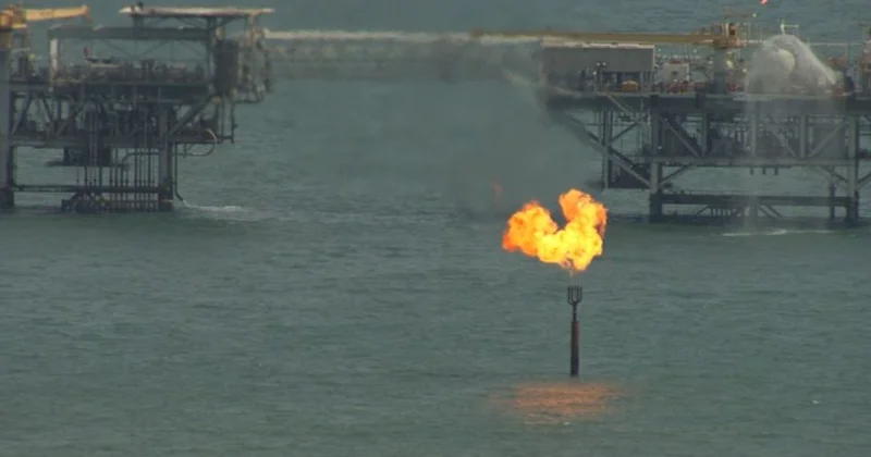 Теңіз бен Қашаған бойынша ӨБК нің экологиялық шарттары БҰҰ комитетіне жетті