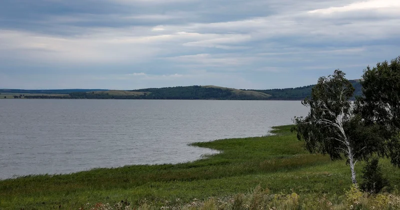 Казахстан утвердил Концепцию по сохранению природы