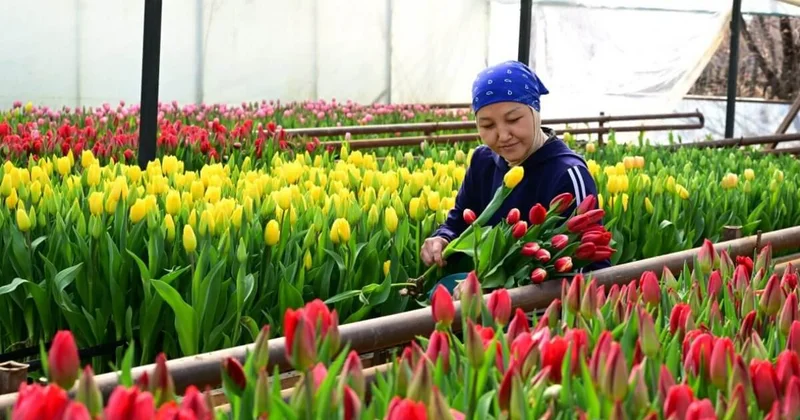 Все цвета бизнеса