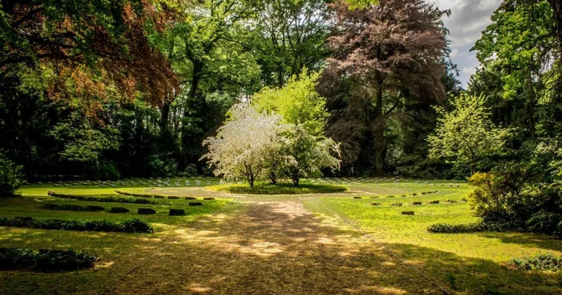 Дендропарк Атырауды шаңды дауылдан қорғай ала ма?