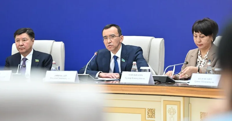 Мәулен Әшімбаев алдағы референдумды еліміздің тұрақты дамуының іргетасы деп атады