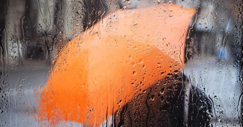 Дождями зальет Шымкент