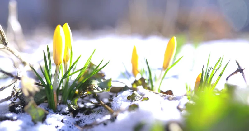 3 наурызда Қазақстанда ауа райы қандай болады? Синоптиктер болжамы