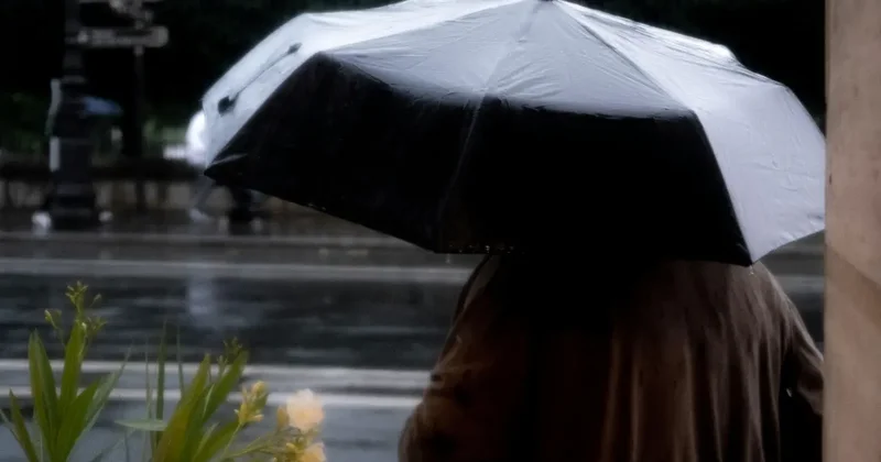 Дождливые выходные ждут казахстанцев