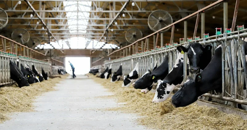 Никакая зараза не проскочит