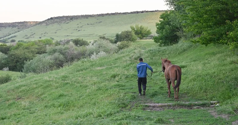 Мал ұрлығы тыйылмай тұр