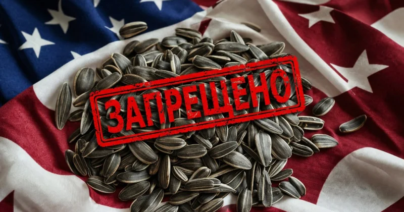 Семечки с сюрпризом : в Казахстан не пустили тонны заражённого продукта из США