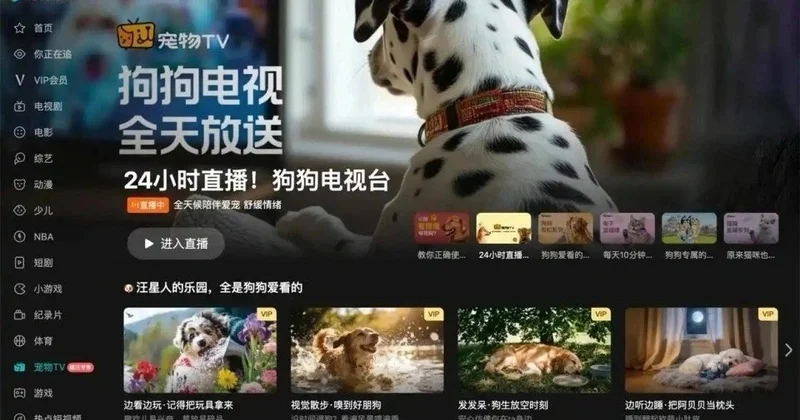 Қытайда үй жануарларына арналған телеарна іске қосылды