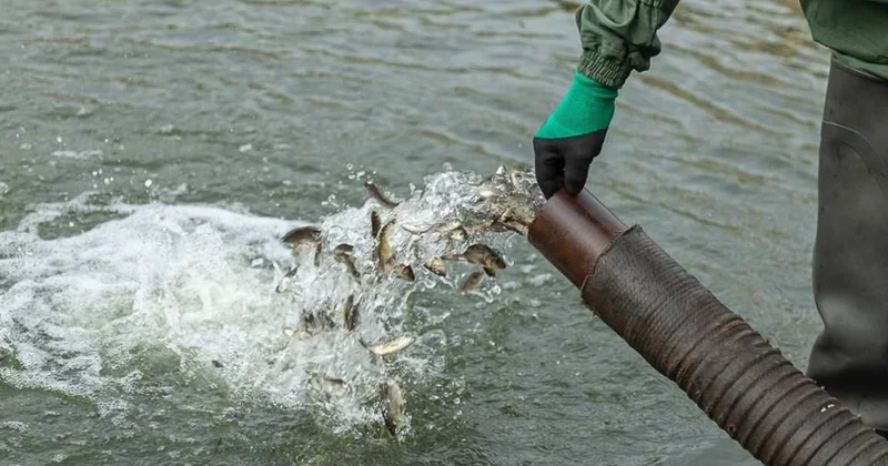 СҚО да Есіл өзенінің суы бір тәулікте 160 см көтерілді
