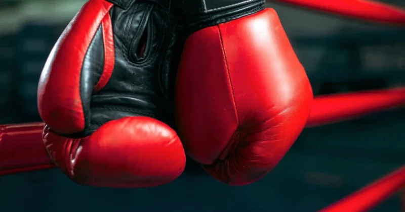 Үкімет жаңа тұжырымдаманы бекітті: Бокс саласында қандай өзгеріс болады?