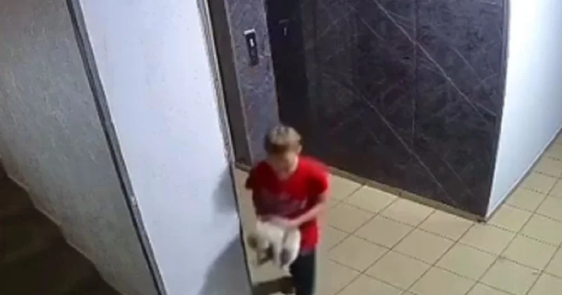 Вопиющий случай : школьник жестоко издевался над кошкой в Алматы