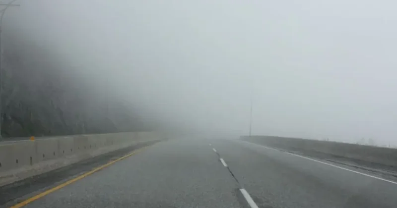 Еліміздің басым бөлігінде жел күшейіп, тұман түседі
