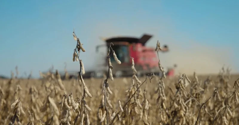 АҚШ та ауыл шаруашылығы дағдарысы қаупі күшейді