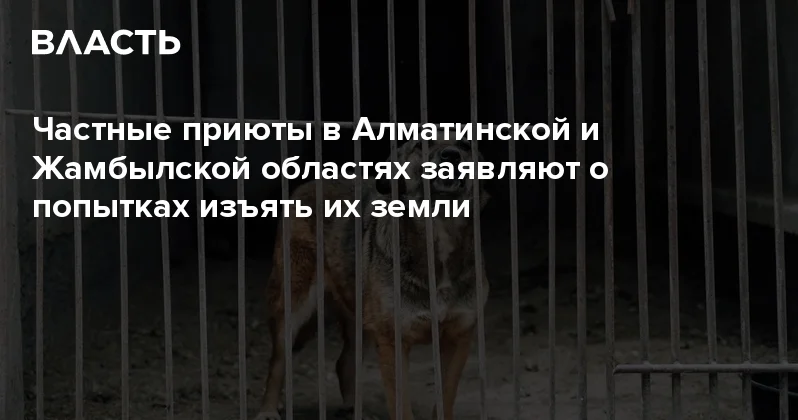 Частные приюты в Алматинской и Жамбылской областях заявляют о попытках изъять их земли Аналитический интернет журнал Власть