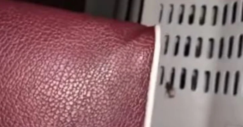 Тараканы бегали в вагоне поезда Караганда Кокшетау