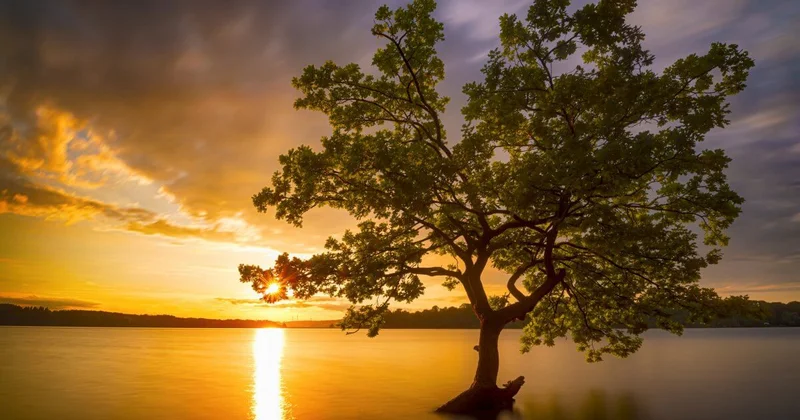 В пятницу часть Казахстана накроют дожди с грозами