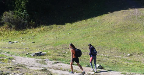 Чиновники нарушали права инвестора в Жамбылской области