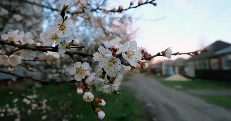 Теплая и солнечная погода порадует алматинцев на выходных