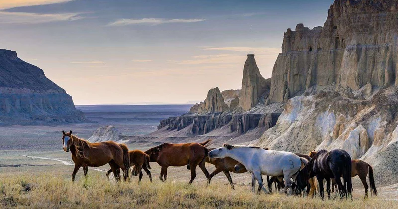 Мангистау: территория будущего и древних легенд