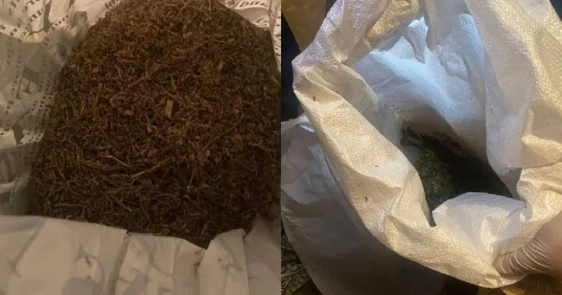 Более пяти килограммов марихуаны изъяли у мотоциклиста в Кокшетау