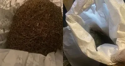 Көкшетауда мотоцикл жүргізушісінен ірі көлемде есірткі тәркіленді