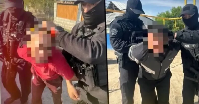 12 жылға сотталуы мүмкін: Алматы облысында мал ұрлығымен айналысқан екі топ қамауға алынды