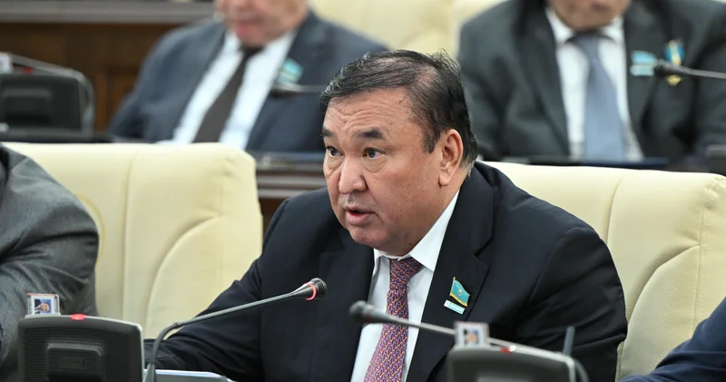 Бұл күшті мемлекеттің көрінісі : Депутаттар жаңа рақымшылық туралы айтты