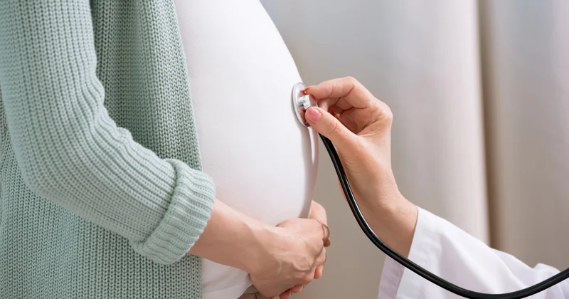 Мәжіліс суррогат ана болудың жаңа ережелерін мақұлдады