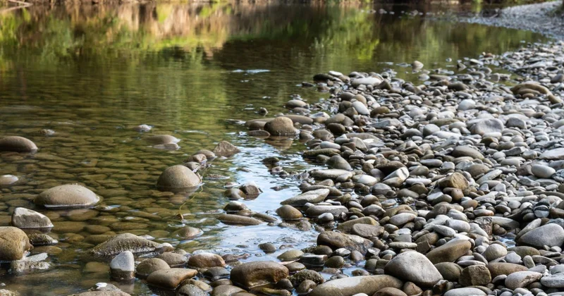 Более 7,7 га земли в водоохранной зоне Алматы вернули в госсобственность