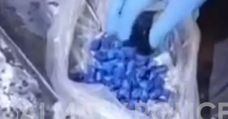 285 подозрительных свертков обнаружили при обыске в машине алматинца (видео)