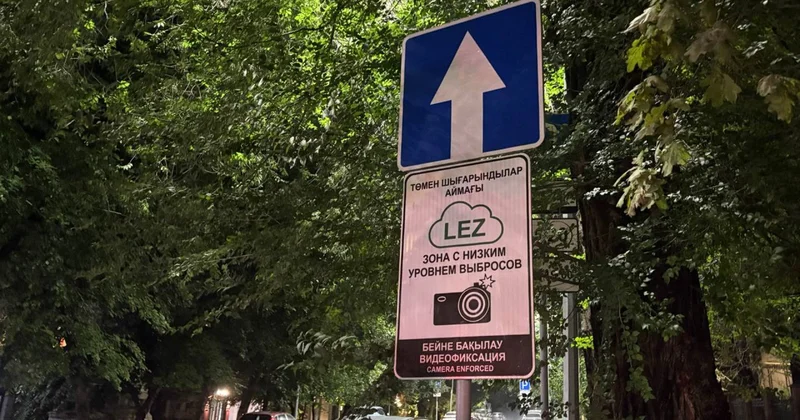 Алматы орталығына кімдерге тексерусіз кіруге рұқсат етіледі жобаның егжей тегжейі