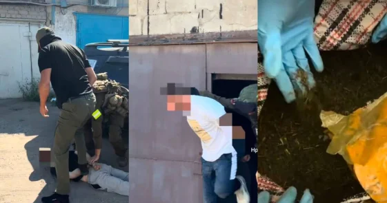 Двух павлодарцев задержали с 60 килограммами марихуаны