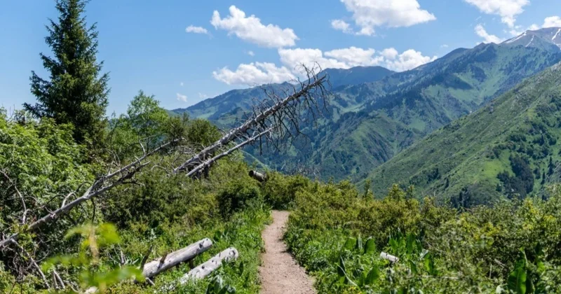 Горные гиды предложили создать единую систему пеших маршрутов в Almaty SuperSki