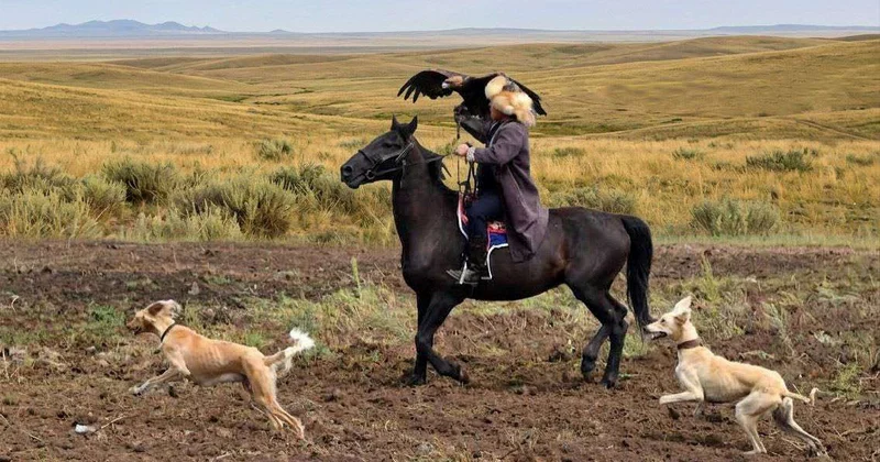 Верный спутник охотника