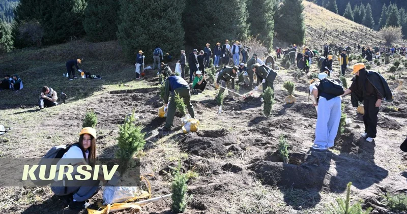 Молодежь Алматы высадила 2 тысячи деревьев на Кок Жайлау