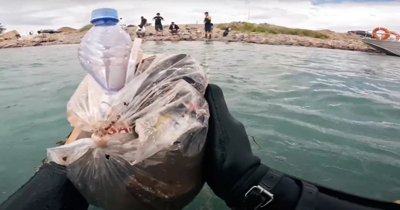 Балқаш көлінің суы жылдан жылға ластанып барады сарапшы