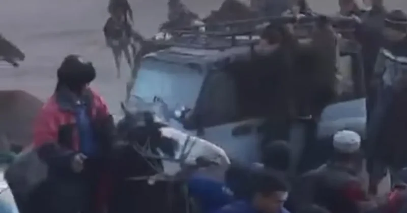 Машина протаранила лошадей с наездниками во время кокпара в Кызылординской области