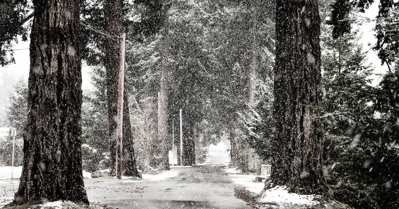 К снежной и ветреной зиме готовятся в одном из регионов Казахстана