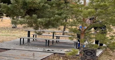 Шок в столичном парке: мужчина средь бела дня разделывал фазанов рядом с детской площадкой