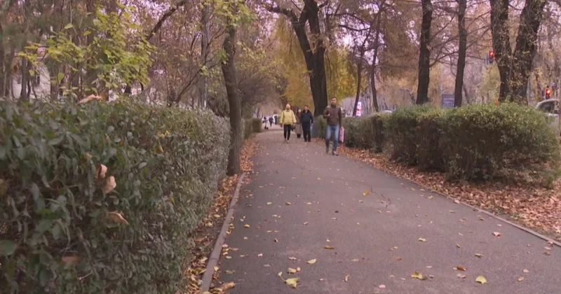 Алматыда ТЖД басшысының үш орынбасары қылмыстық жауапқа тартылды