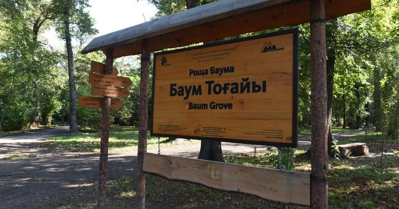 Губит рощу, губит деревья : в акимате Алматы отреагировали на критику благоустройства рощи Баума