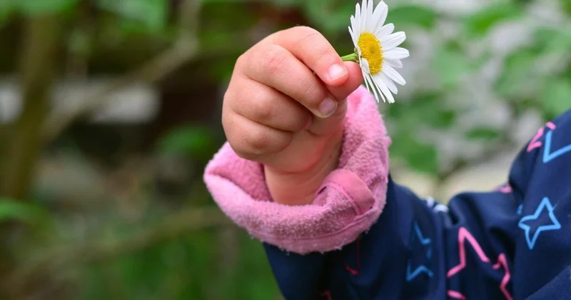 Трехлетняя девочка схватилась за оголенные провода в Павлодаре