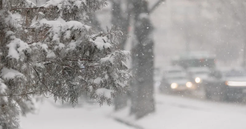 Қазақстанда алдағы күндері қар жауып, боран соғады