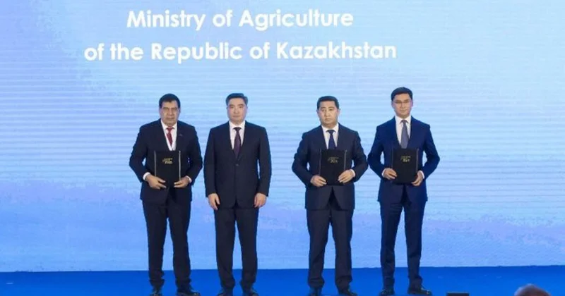 Грандиозный план развития