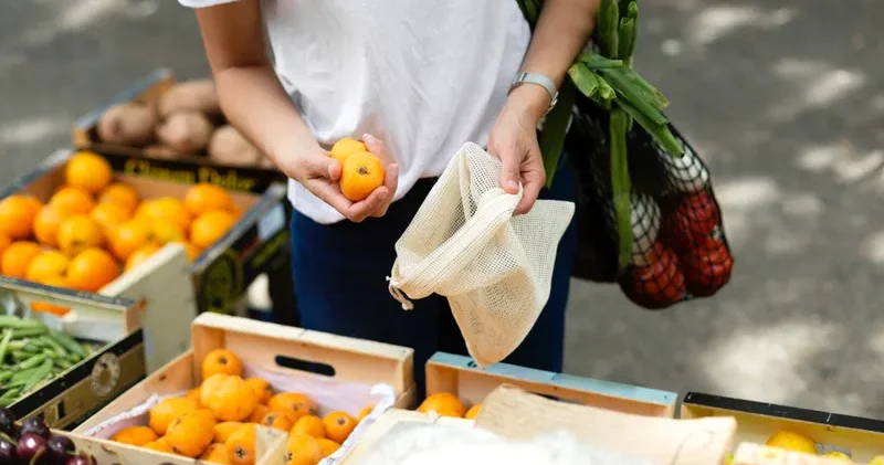 2026 жылдан бастап көрме жәрмеңкелік сауда бойынша ҚҚС төленуі қалай бақыланады