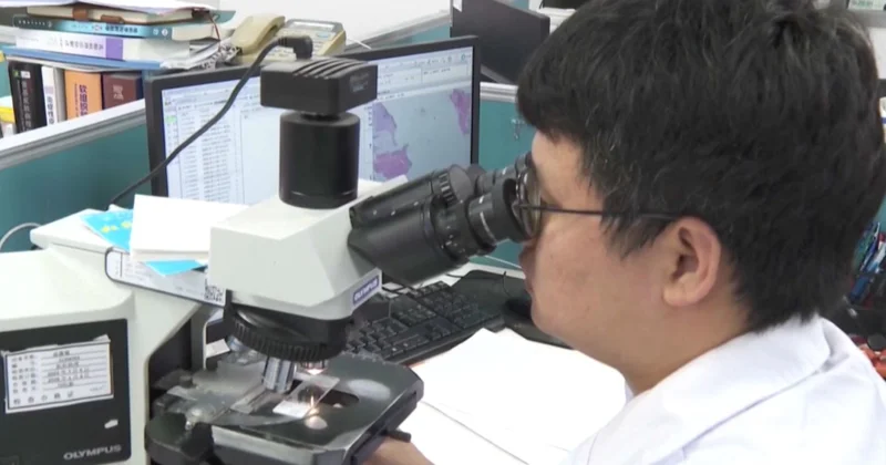 Қытайда қатерлі ісікті анықтайтын ЖИ іске қосылды