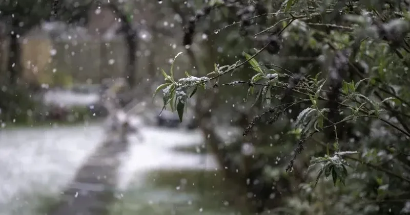 Жаңбыр, қар, көктайғақ . Алматыда күн райы күрт бұзылады